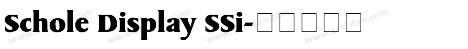 Schole Display SSi字体转换